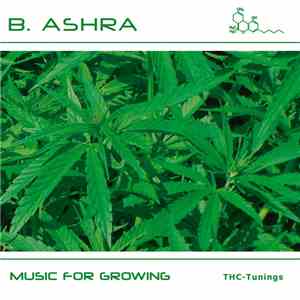 B.Ashra - Music For Growing