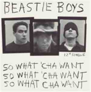 Beastie Boys - So What 'Cha Want