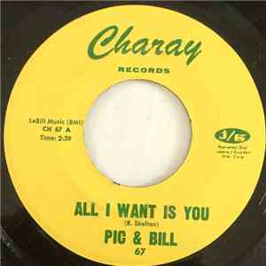 Pic & Bill - All I Want Is You