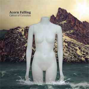 Acorn Falling - Cabinet Of Curiosities