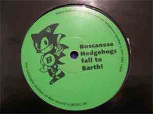 Boscanese Hedgehogs Fall To Earth - Boscanese Hedgehogs Fall To Earth