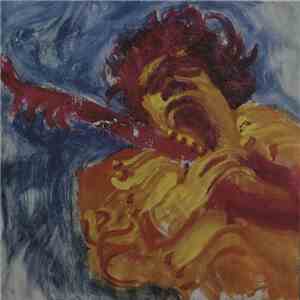 Jimi Hendrix - The Jimi Hendrix Concerts