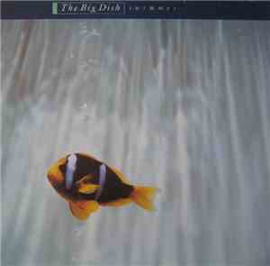 The Big Dish - Swimmer