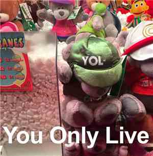 David O'Doherty - You Only Live