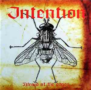Intention - Afraid At The Edges