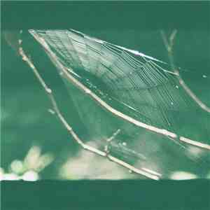Olga Shaydullina + Stanislav Vdovin - Magic Carpet