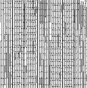Tetras - Pareidolia