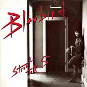 Bleubird - Street Talk 5