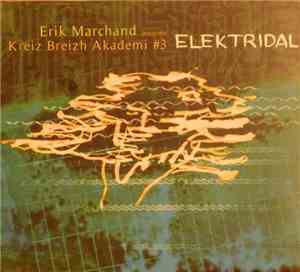 Erik Marchand Présente Kreiz Breizh Akademi #3 - Elektridal