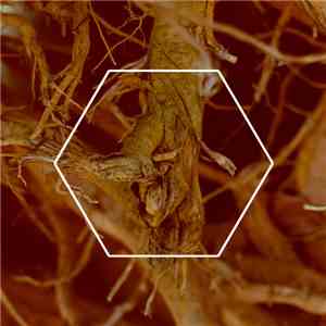 Lost Harbours - Wooden Wires