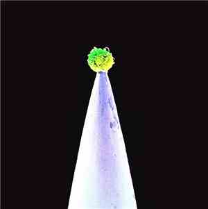 Peter Gabriel - New Blood