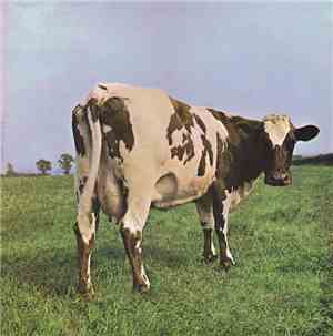 The Pink Floyd - Atom Heart Mother