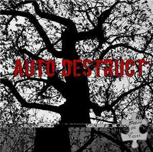 Behind The Pieces - Auto Destruct