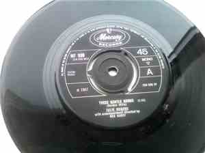 Julie Rogers - These Gentle Hands