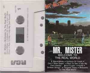 Mr. Mister - Welcome To The Real World