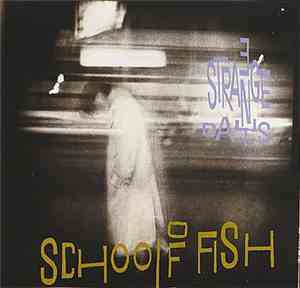 School Of Fish - 3 Strange Days