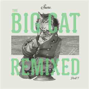 Ramiro Lopez, Coyu - The Big Cat Remixed (Part 1)