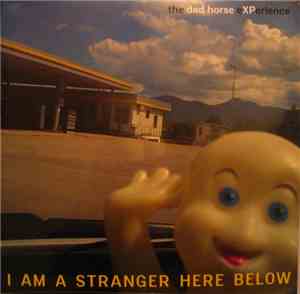 The Dad Horse Experience - I Am A Stranger Here Below