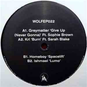 Various - Wolf EP 22