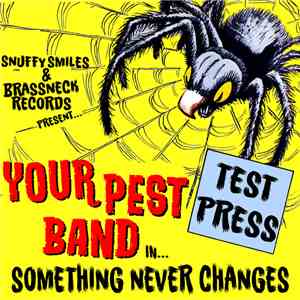 Your Pest Band - Something Never Changes