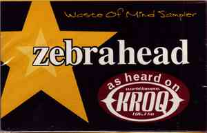Zebrahead - Waste Of Mind Sampler