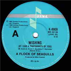 A Flock Of Seagulls - Wishing (If I Had A Photograph Of You)