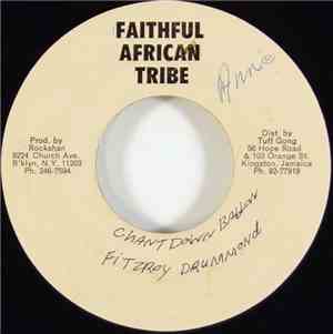 Fitzroy Drummond & The Wailers - Chant Down Babylon