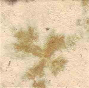 Various - Wailing Bones Volume Six
