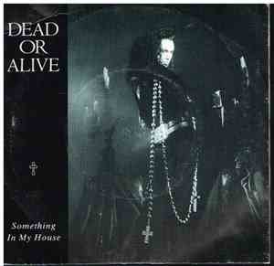 Dead Or Alive - Something In My House