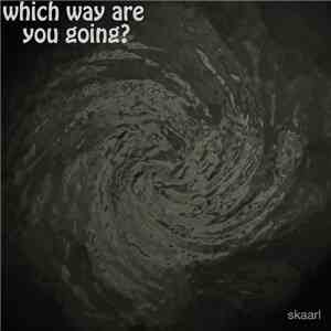 Skaarl - Which Way Are You Going?