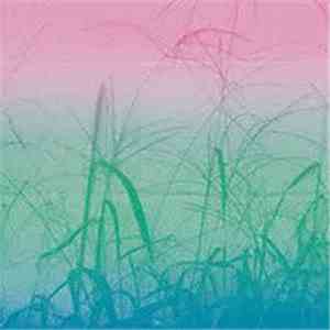 Tim Burgess - A Gain / Stoned Alone Again