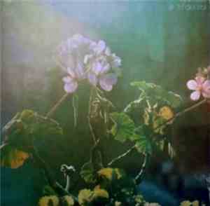 Luis Alberto Spinetta - A 18' Del Sol