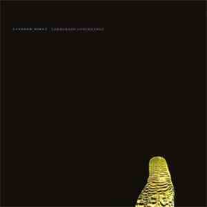 Andrew Bird - Armchair Apocrypha