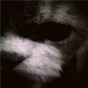 j.c.19, The MF KittyBooy - Travel To Kitty Land EP