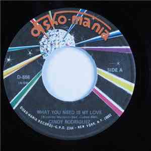 Cindy Rodriguez - What You Need Is My Love