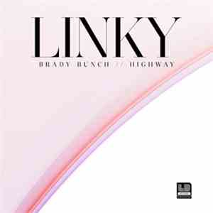 Linky - Brady Bunch