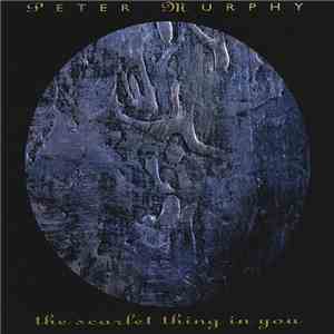 Peter Murphy - The Scarlet Thing In You