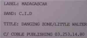 C.I.D - Danging Zone