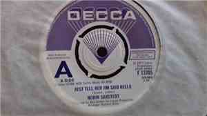 Robin Sarstedt - Just Tell Her Jim Said Hello