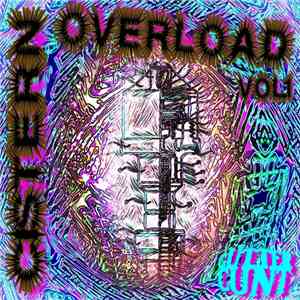 Various - Cistern Overload Vol 1