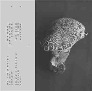 Various - New Rich - 1