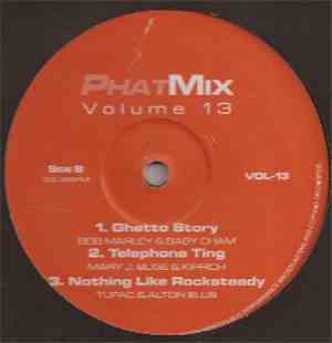 Various - Phatmix Volume 13