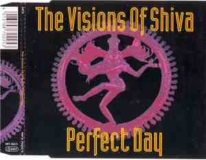 The Visions Of Shiva - Perfect Day