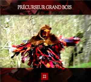 Précurseur Grand Bois - 22
