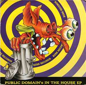 Public Domain  - In The House EP