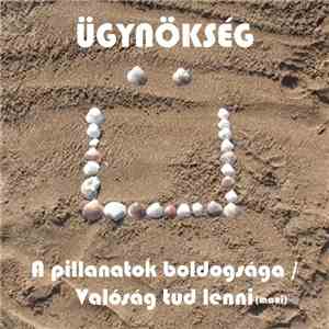 Ügynökség - A Pillanatok Boldogsága / Valóság Tud Lenni (Maxi)