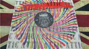 Solid HarmoniE / Daisy Dee - Got 2 Have Ya / Angel