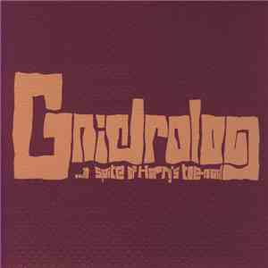 Gnidrolog - ...In Spite Of Harry's Toe-Nail