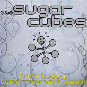 The Sugar Cubes - Here Today, Tomorrow Next Week!