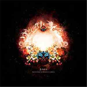 Junius - Reports From The Threshold Of Death